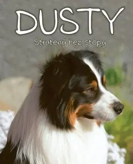 Dobrodružstvo, napätie, western Dusty 7: Stratený bez stopy - Jan Andersen,Dana Petrigáčová