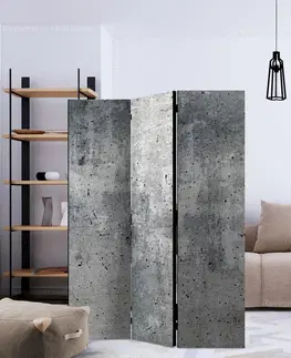Paravány Paraván Fresh Concrete Dekorhome 225x172 cm (5-dielny)
