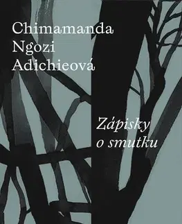 Svetová beletria Zápisky o smutku - Chimamanda Ngozi Adichie,Petr Štádler