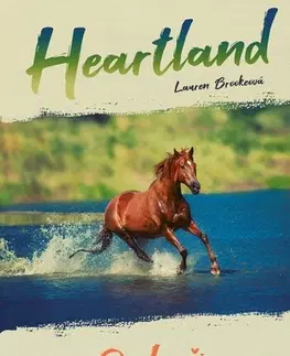 Pre deti a mládež - ostatné Heartland: Po bouři - Lauren Brooke
