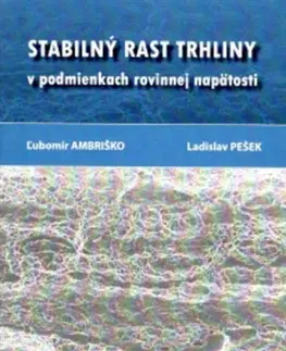 Veda, technika, elektrotechnika Stabilný rast trhliny v podmienkach rovinnej napätosti - Ľubomír Andriško,Ladislav Pešek