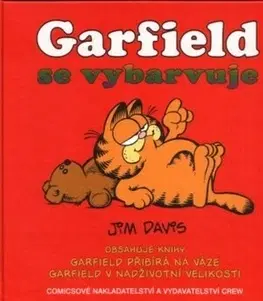 Komiksy Garfield se vybarvuje - Jim Davis