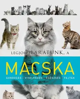 Mačky Legjobb barátunk a macska - Kolektív autorov,Márta Mayer