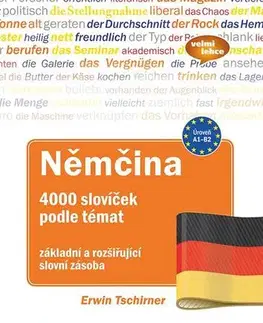 Gramatika a slovná zásoba Němčina 4000 slovíček podle témat - Erwin Tschirner