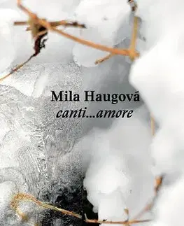 Slovenská poézia canti amore - Mila Haugová,Daniel Fischer