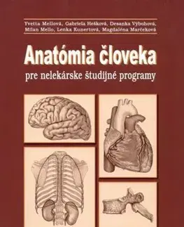Anatómia Anatómia človeka pre nelekárske študijné odbory, 3.vydanie - Kolektív autorov