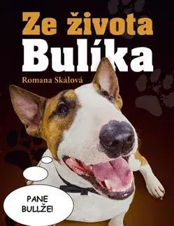 Humor a satira Ze života Bulíka - Romana Skálová