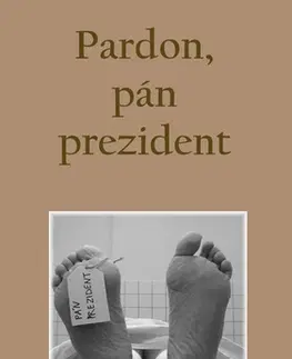 Romantická beletria Pardon, pán prezident - Pavol Fabian