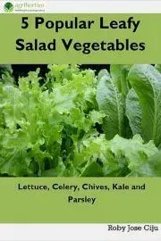 Hobby - ostatné 5 Popular Leafy Salad Vegetables - Jose Ciiju Roby