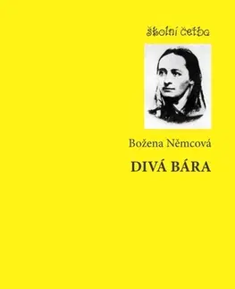 Novely, poviedky, antológie Divá bára - Božena Němcová