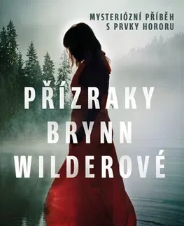 Detektívky, trilery, horory Přízraky Brynn Wilderové - Wendy Webb