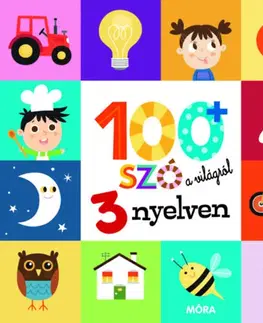 Pre deti a mládež - ostatné 100+ szó a világról 3 nyelven
