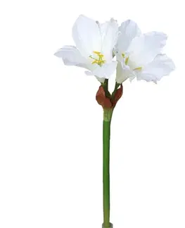 Kvety Umelá Amarylis biela, 52 cm
