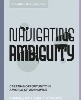 Dizajn, úžitkové umenie, móda Navigating Ambiguity - Andrea Small,Kelly Schmutte,Reina Takahashi