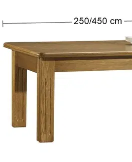 Písacie a pracovné stoly PYKA Stol 250/450 rozkladací konferenčný stôl drevo D3