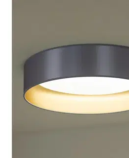 Svietidlá   - LED Stropné svietidlo ROLLER LED/24W/230V strieborná/zlatá 