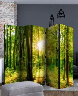 Paravány Paraván Forest Rays Dekorhome 225x172 cm (5-dielny)