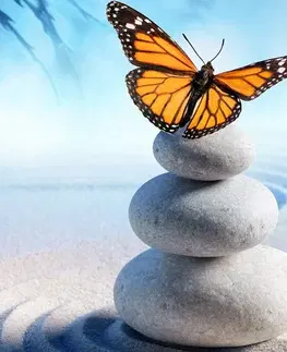 Obrazy Feng Shui Obraz rovnováha kameňov a motýľ