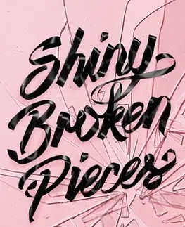 Pre dievčatá Tiny Pretty Things 2: Shiny Broken Pieces - Sona Charaipotra,Dhonielle Clayton