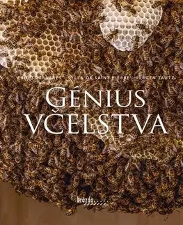 Hmyz Génius včelstva (SK) - Sylla de Saint Pierre,Jürgen Tautz