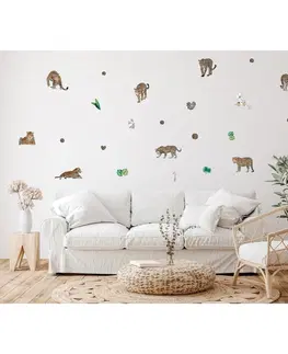 Samolepky na stenu Samolepiaca dekorácia Tigers, 42,5 x 65 cm