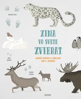 Príroda Zima vo svete zvierat - Markéta Špačková,Irena Kocí