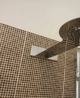 Sprchy a sprchové panely SLEZAK-RAV - RAV - RAV - Hlavová sprcha kovová, Farba: nerez KS0006