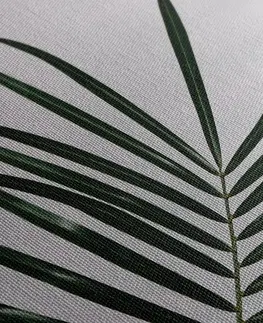 Obrazy zátišie Obraz nádherný palmový list