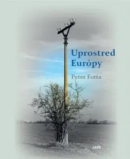 Slovenská poézia Uprostred Európy - Peter Fotta