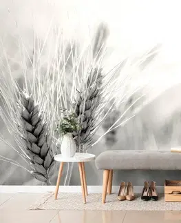 Samolepiace tapety Samolepiaca fototapeta pšeničné pole v čiernobielom prevedení