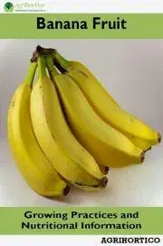 Hobby - ostatné Banana Fruit