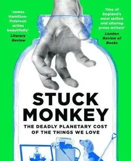 Matematika, logika Stuck Monkey - James Hamilton-Paterson