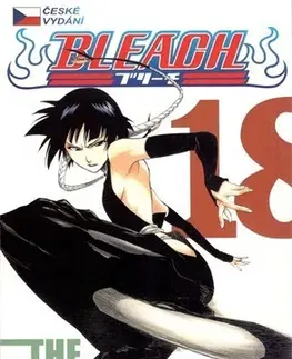 Manga Bleach 18: The Deathberry Returns - Kubo Tite