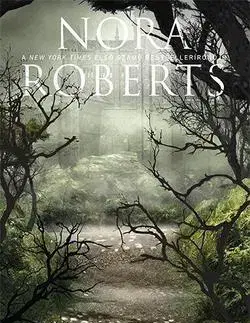 Romantická beletria Árnyékvarázslat - Nora Roberts