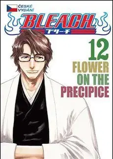 Manga Bleach 12 - Kubo Tite
