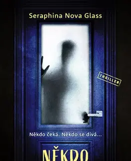 Detektívky, trilery, horory Někdo poslouchá - Seraphina Nova Glass