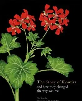 Okrasná záhrada The Story of Flowers - Kingsbury Noël