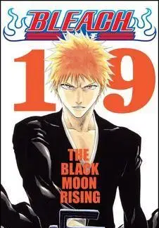 Manga Bleach 19 - Kubo Tite