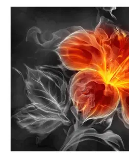 Tapety kvety Fototapeta ľalia v dyme - Fiery flower inside the smoke