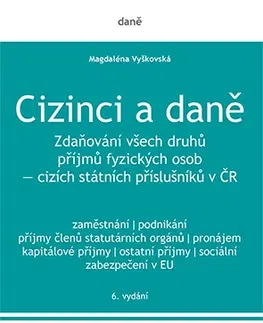 Dane, účtovníctvo Cizinci a daně - 6. vydání - Magdaléna Vyškovská