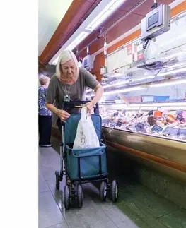 Nákupné tašky a košíky Carlett Senior Assist nákupná taška na​ kolieskachh 38 l, modrozelená