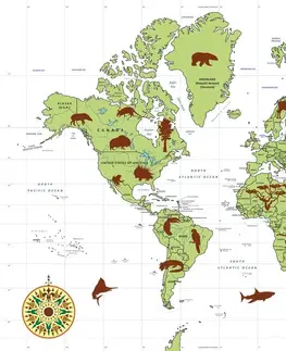 Obrazy na korku Obraz na korku mapa so zvieratami