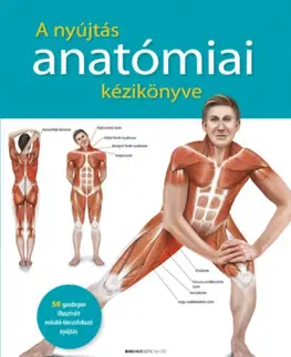 Anatómia A nyújtás anatómiai kézikönyve - Kolektív autorov