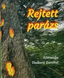 Historické romány Rejtett parázs - Erzsébet Vadkerti