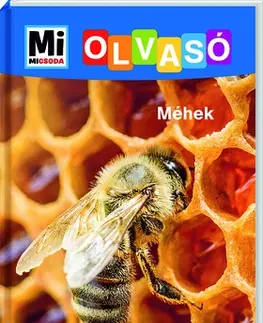 Príroda Mi MICSODA Olvasó - Méhek - Christina Braun