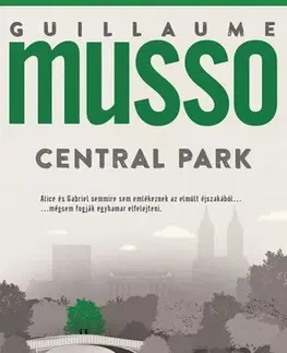 Detektívky, trilery, horory Central Park - Guillaume Musso