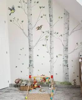 Nálepky na stenu Brezy s vtáčikmi - samolepky na stenu