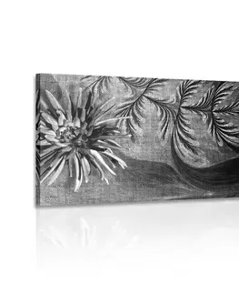 Čiernobiele obrazy Obraz kvety na čiernobielom pozadí