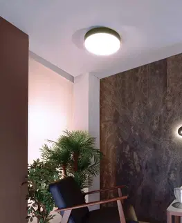Stropné svietidlá Deko-Light Stropné LED svetlo Menkar, strieborná