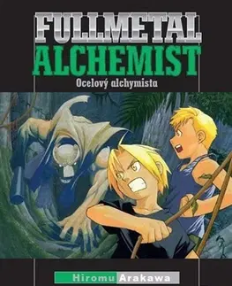 Manga Fullmetal Alchemist 6 - Hiromu Arakawa,Hiromu Arakawa,Anna Křivánková